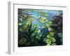 Lotus Flowers-kirilstanchev-Framed Art Print