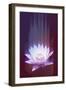 Lotus Glitch-null-Framed Art Print