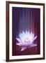 Lotus Glitch-null-Framed Art Print