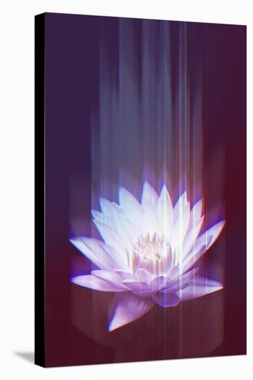 Lotus Glitch-null-Stretched Canvas