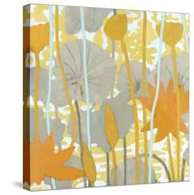 Lotus I-Sally Bennett Baxley-Stretched Canvas