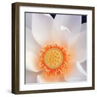 Lotus I-Jim Christensen-Framed Photo