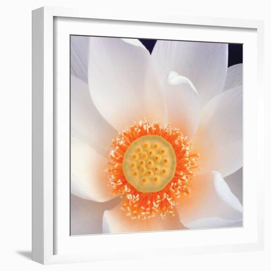 Lotus I-Jim Christensen-Framed Photo