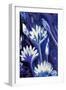 Lotus in Blue-Rabi Khan-Framed Art Print