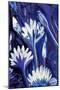 Lotus in Blue-Rabi Khan-Mounted Art Print