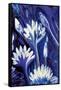 Lotus in Blue-Rabi Khan-Framed Stretched Canvas