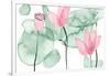 Lotus in Nature III-Melissa Wang-Framed Art Print