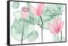 Lotus in Nature III-Melissa Wang-Framed Stretched Canvas