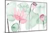Lotus in Nature IV-Melissa Wang-Mounted Premium Giclee Print