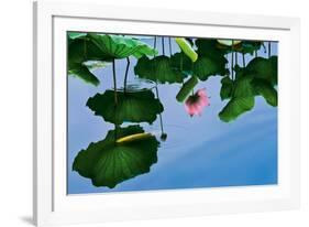 Lotus In Reflection-Nhiem Hoang The-Framed Giclee Print