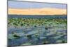 Lotus Lake and White Sand Dunes near Mui Ne, Dong Nam Bo, Vietnam-null-Mounted Art Print