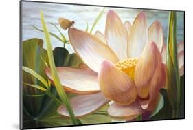 Lotus Landing-Elizabeth Horning-Mounted Giclee Print