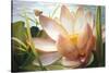 Lotus Landing-Elizabeth Horning-Stretched Canvas