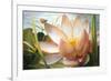 Lotus Landing-Elizabeth Horning-Framed Giclee Print