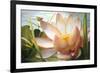 Lotus Landing-Elizabeth Horning-Framed Giclee Print