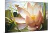 Lotus Landing-Elizabeth Horning-Mounted Giclee Print