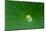 Lotus leaf, Fujian Province, China-Keren Su-Mounted Photographic Print