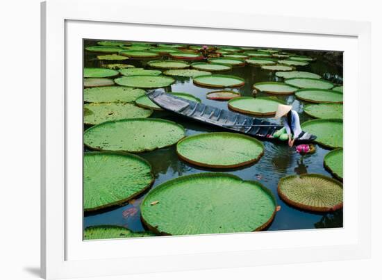 Lotus Leaves At Dong Thap-Nhiem Hoang The-Framed Giclee Print