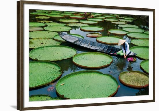 Lotus Leaves At Dong Thap-Nhiem Hoang The-Framed Giclee Print