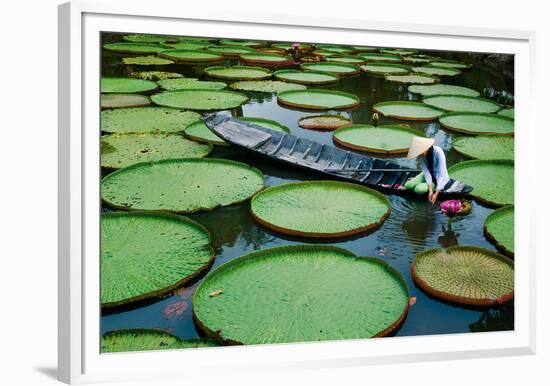 Lotus Leaves At Dong Thap-Nhiem Hoang The-Framed Giclee Print