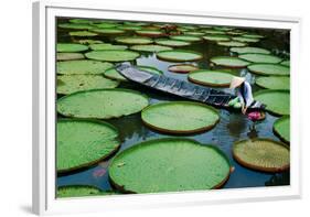 Lotus Leaves At Dong Thap-Nhiem Hoang The-Framed Giclee Print