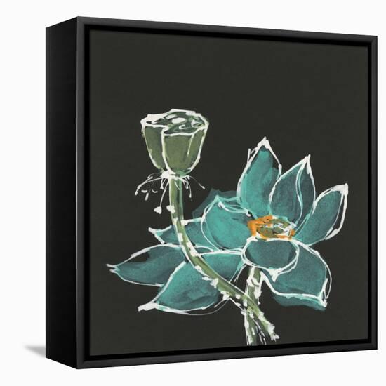 Lotus on Black I-Chris Paschke-Framed Stretched Canvas