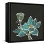 Lotus on Black I-Chris Paschke-Framed Stretched Canvas