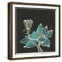 Lotus on Black I-Chris Paschke-Framed Art Print