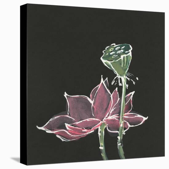 Lotus on Black III-Chris Paschke-Stretched Canvas