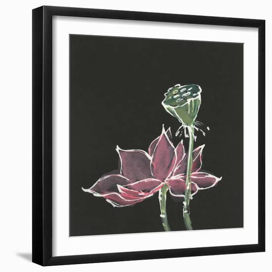 Lotus on Black III-Chris Paschke-Framed Art Print