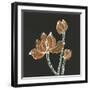 Lotus on Black IV-Chris Paschke-Framed Art Print