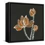 Lotus on Black IV-Chris Paschke-Framed Stretched Canvas