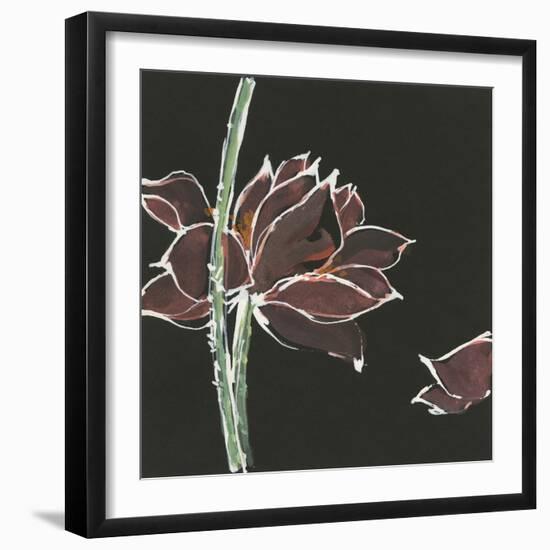 Lotus on Black V-Chris Paschke-Framed Art Print