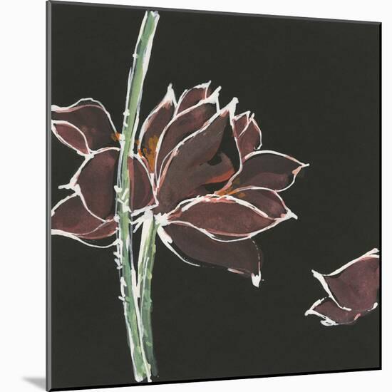 Lotus on Black V-Chris Paschke-Mounted Art Print