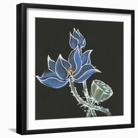 Lotus on Black VI-Chris Paschke-Framed Art Print