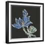 Lotus on Black VI-Chris Paschke-Framed Art Print