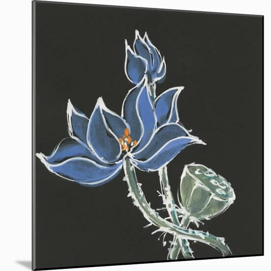 Lotus on Black VI-Chris Paschke-Mounted Art Print