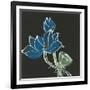 Lotus on Black VII-Chris Paschke-Framed Art Print