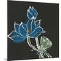 Lotus on Black VII-Chris Paschke-Mounted Art Print