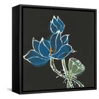 Lotus on Black VII-Chris Paschke-Framed Stretched Canvas