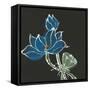 Lotus on Black VII-Chris Paschke-Framed Stretched Canvas