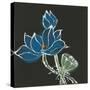 Lotus on Black VII-Chris Paschke-Stretched Canvas