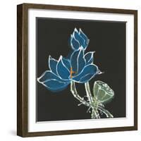 Lotus on Black VII-Chris Paschke-Framed Art Print