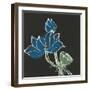 Lotus on Black VII-Chris Paschke-Framed Art Print