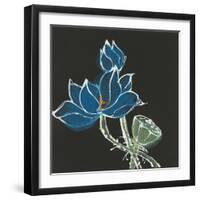 Lotus on Black VII-Chris Paschke-Framed Art Print