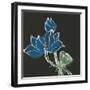 Lotus on Black VII-Chris Paschke-Framed Art Print