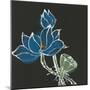 Lotus on Black VII-Chris Paschke-Mounted Art Print