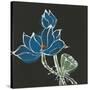Lotus on Black VII-Chris Paschke-Stretched Canvas