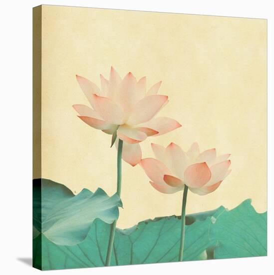 Lotus On The Old Grunge Paper Background-kenny001-Stretched Canvas