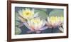 Lotus Panorama-Diego Ceja-Framed Giclee Print